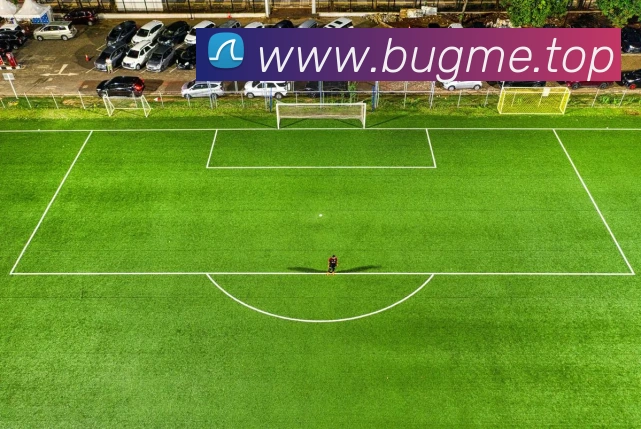 九游j9官网入口手机版发展历程